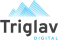 Logo for Triglav Digital - IT Recruiter